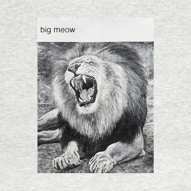 Big Meow by Dan Bina 